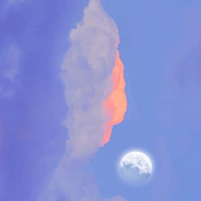 مریم افتخار avatar