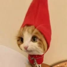 نادیہ خٹک avatar